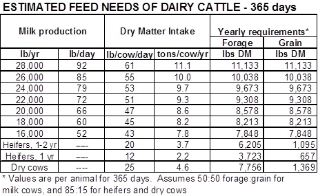 Dairy Cow Feeding Schedule - All About Cow Photos